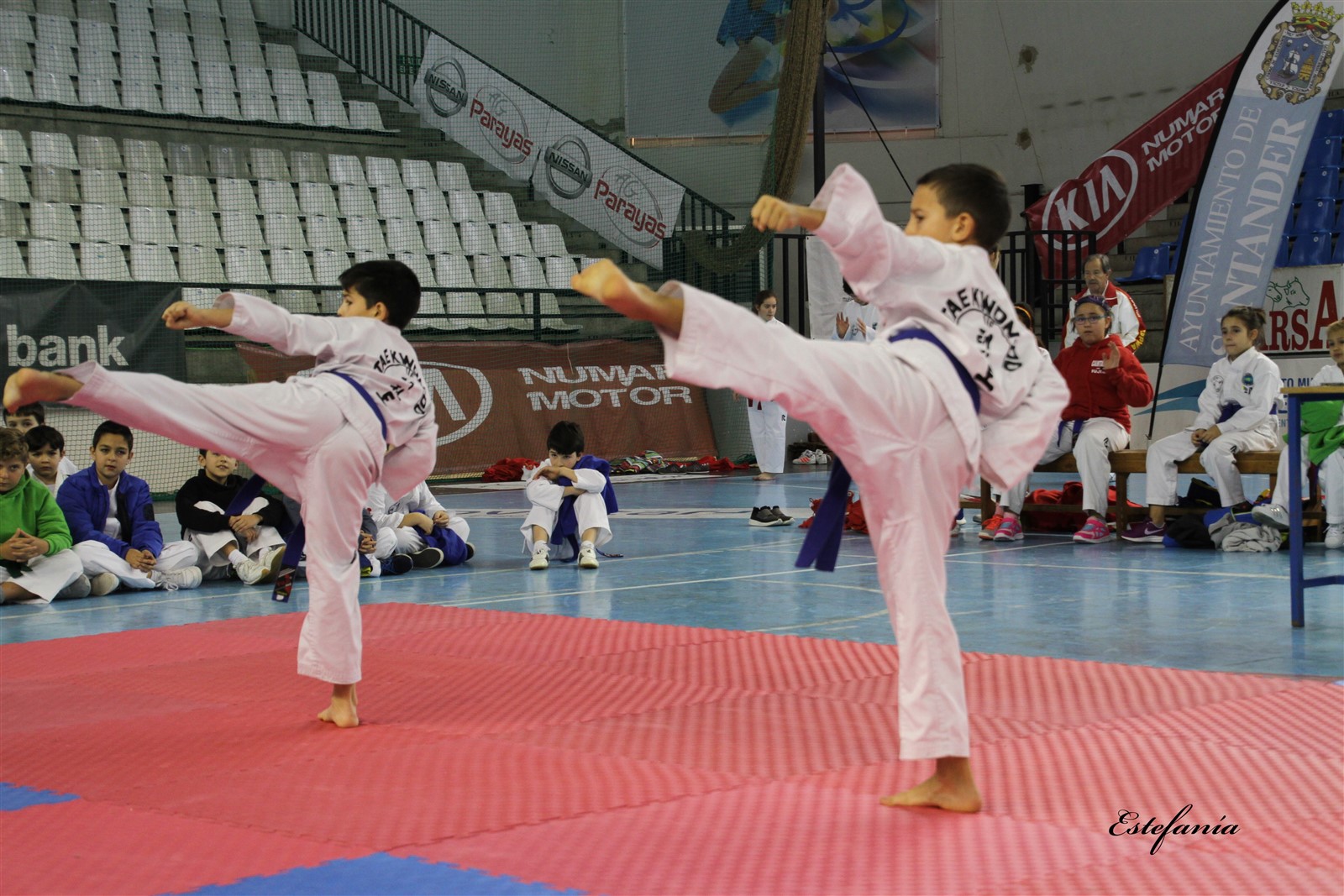 Taekwondo (162).jpg